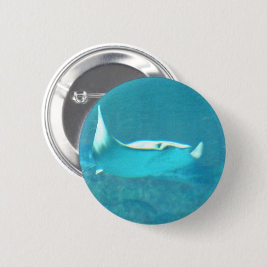 Stingray-Knopf Button (Vorne & Hinten)