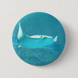 Stingray-Knopf Button
