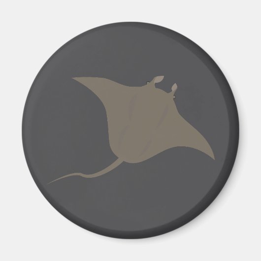 Stingray Magnet (Vorne)