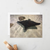 Stingray Mitteilungskarte (Vorderseite/Rückseite Beispiel)