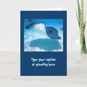 Stingray-Mitteilungskarten Karte