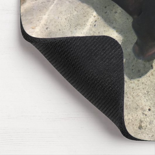 Stingray Mousepad (Ecke)