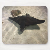 Stingray Mousepad (Vorne)