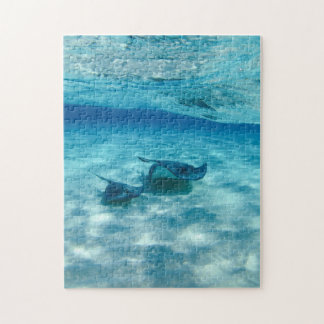 Stingray Ocean Blue Sea Foto Puzzle