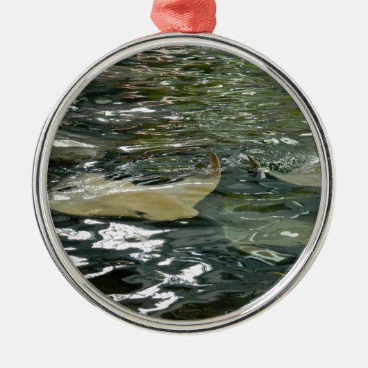 Stingray Ornament Aus Metall (Vorne)