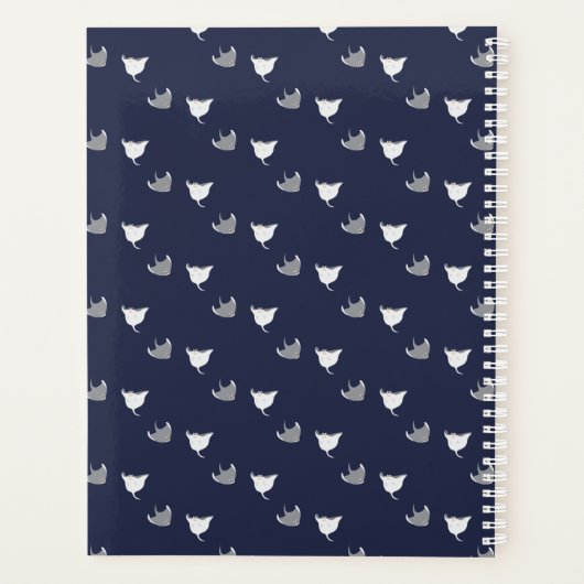 Stingray Pattern Planer