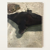 Stingray Planer (Rückseite)