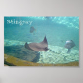 Stingray Poster (Vorne)