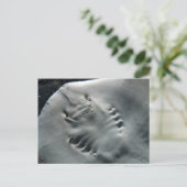 Stingray Postkarte (Stehend Vorderseite)