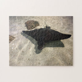 Stingray Puzzle