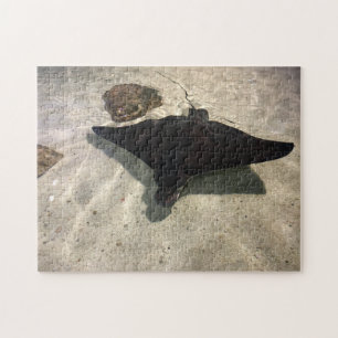 Stingray Puzzle