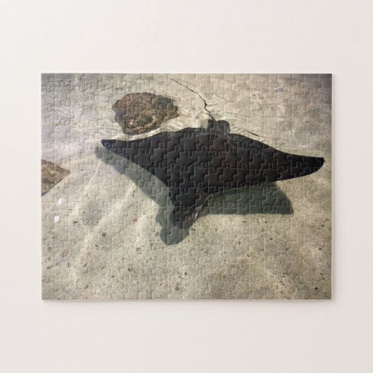 Stingray Puzzle (Horizontal)