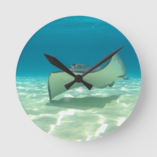 Stingray Runde Wanduhr (Vorderseite)