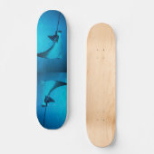 Stingray Skateboard (Vorderseite)