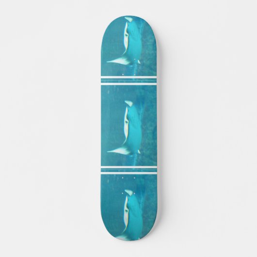 Stingray-Skateboard Skateboard (Vorne)