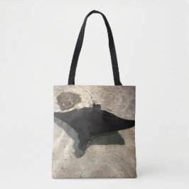 Stingray Tasche