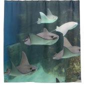 Stingray Überraschung Duschvorhang (Vorderseite)
