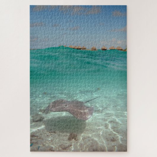 Stingray Unterwasser in Bora Bora Puzzle (Vertikal)
