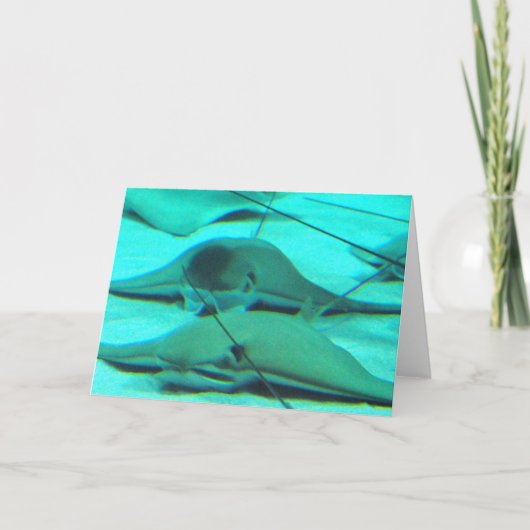 Stingrays auf Meeresgrund-Gruß-Karte Karte (Vorderseite)
