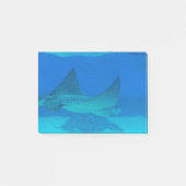 Stingrays Post-it Klebezettel (Vorderseite)