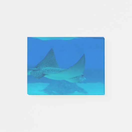Stingrays Post-it Klebezettel (Vorderseite)