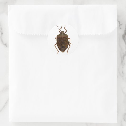 Stink Bug Runder Aufkleber (Tasche)