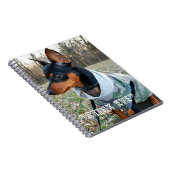 Stink Eye MInPin Notizblock (Rechte Seite)