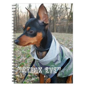 Stink Eye MInPin Notizblock
