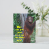 Stinkende Augentiere mit Emotionen Postkarte (Stehend Vorderseite)