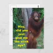 Stinkende Augentiere mit Emotionen Postkarte (Vorne/Hinten)