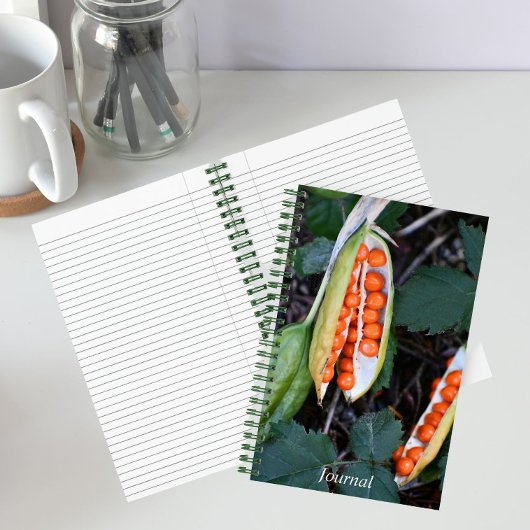 Stinking Iris Seed Pod Foto Notizblock