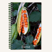 Stinking Iris Seed Pod Foto Notizblock (Vorderseite)