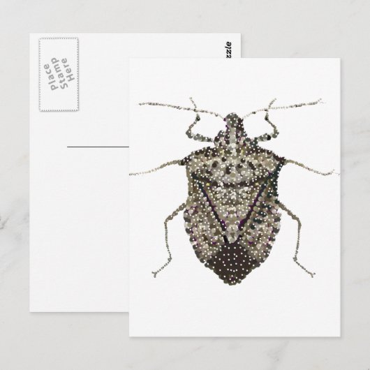 Stinkkäfer Postkarte (Vorne/Hinten)
