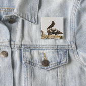 Stinktier, von "Histoire Naturelle" vorbei Button (Beispiel)