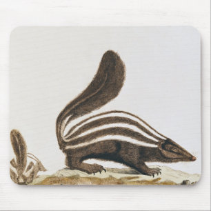 Stinktier, von "Histoire Naturelle" vorbei Mousepad