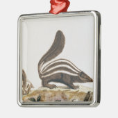 Stinktier, von "Histoire Naturelle" vorbei Ornament Aus Metall (Links)
