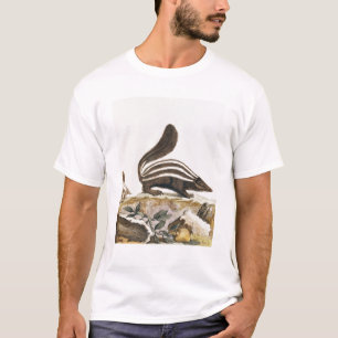 Stinktier, von "Histoire Naturelle" vorbei T-Shirt