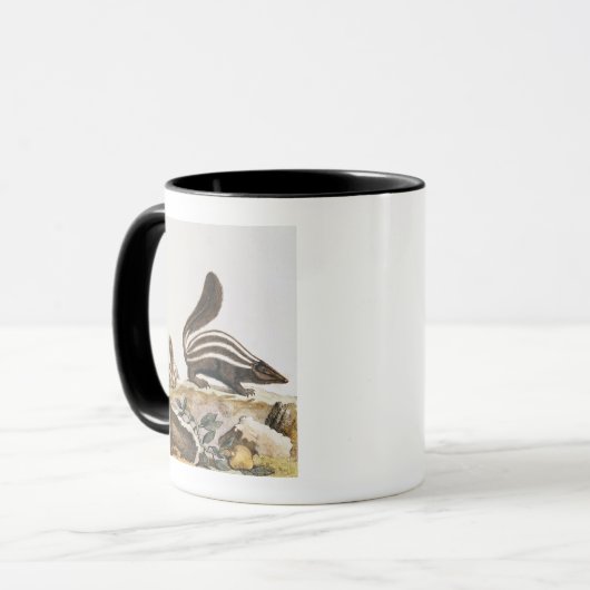 Stinktier, von "Histoire Naturelle" vorbei Tasse (Vorderseite Links)
