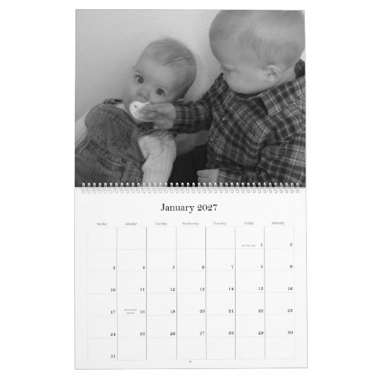 Stinky Käse-Kalender Kalender (Jan 2027)