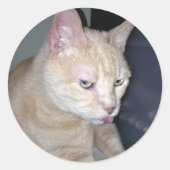 Stinky Raspberry Sticker (Vorderseite)