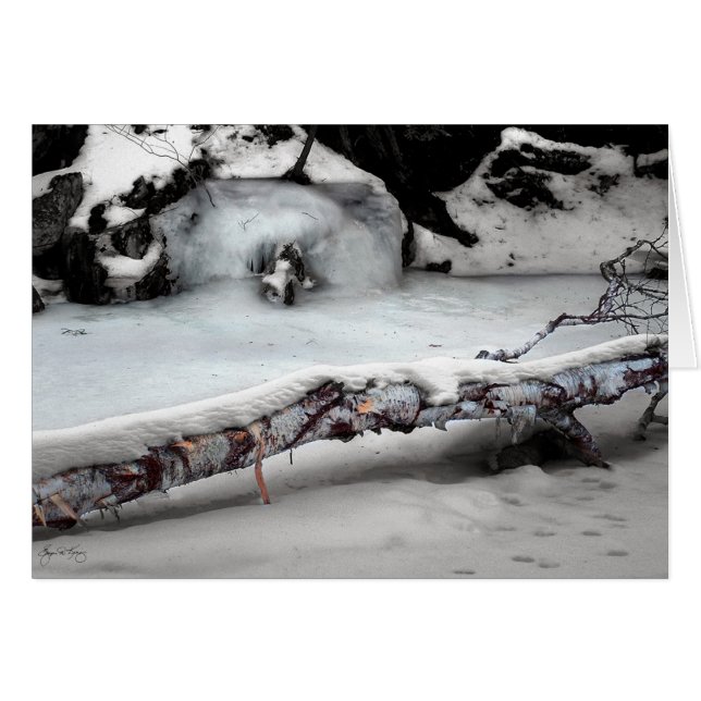 Stinson Bach Birchfall (Vorderseite (Horizontal))