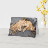 Stipendiaten Karte (Gelbe Blume)