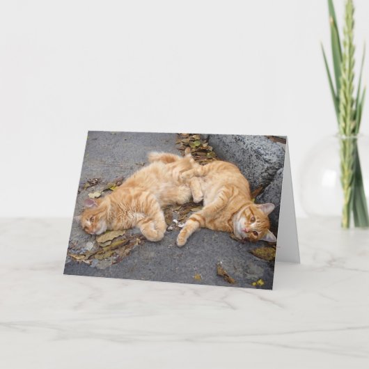 Stipendiaten Karte (Vorderseite)