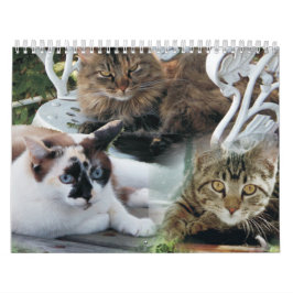 Stipendienkalender 2020 kalender
