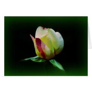 "Stipendium auf dem Weg"