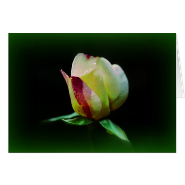 "Stipendium auf dem Weg" (Vorderseite (Horizontal))