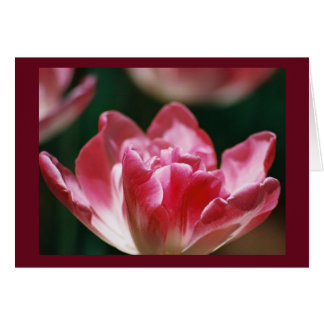 "Stipendium auf dem Weg"