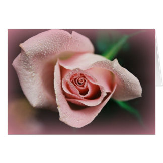 "Stipendium auf dem Weg"