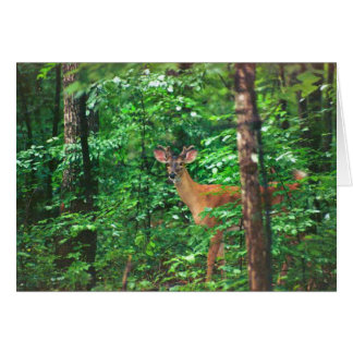 "Stipendium auf dem Weg"