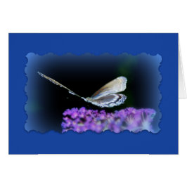 "Stipendium auf dem Weg"